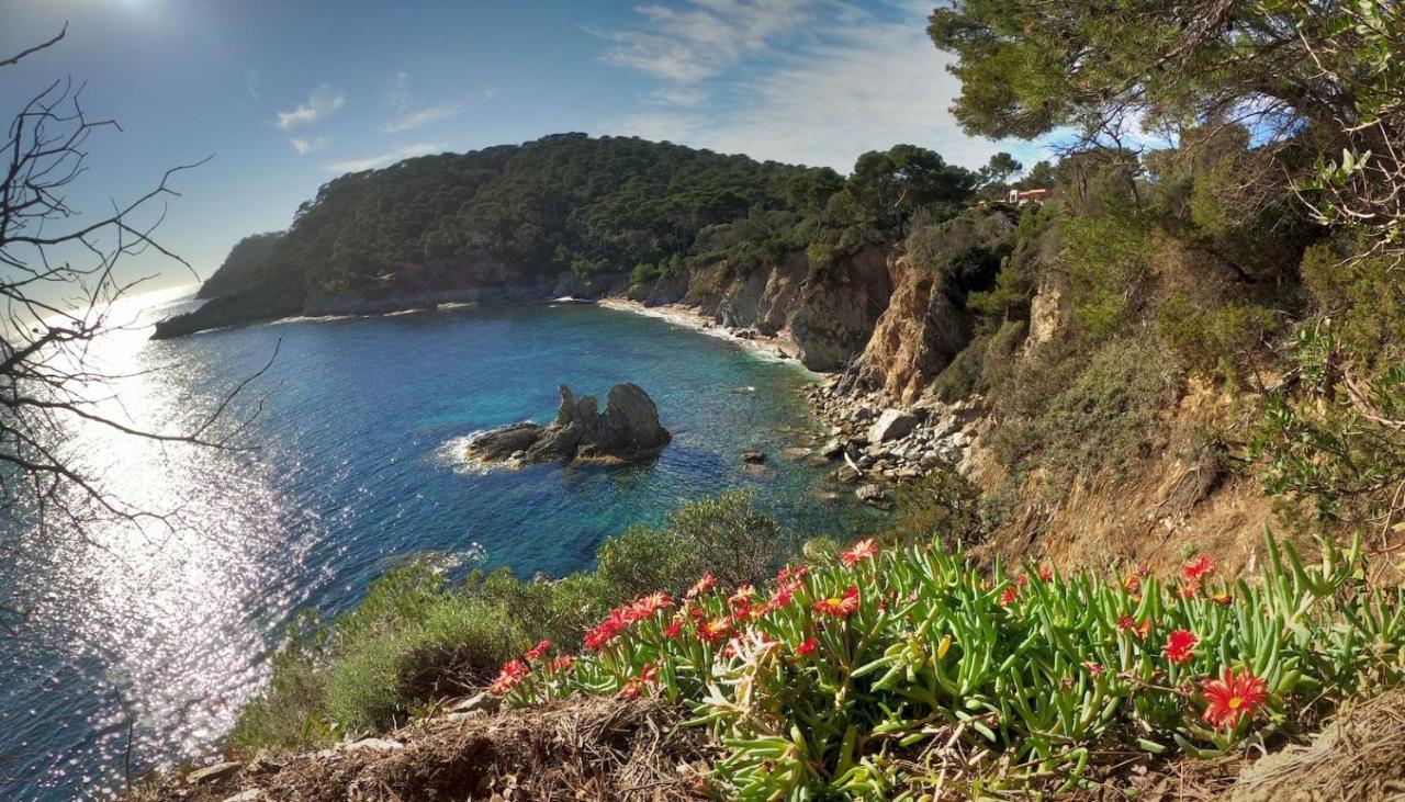 Studio Residence Bona, Vue Hippodrome Et Mer, Clim Hyeres Ngoại thất bức ảnh